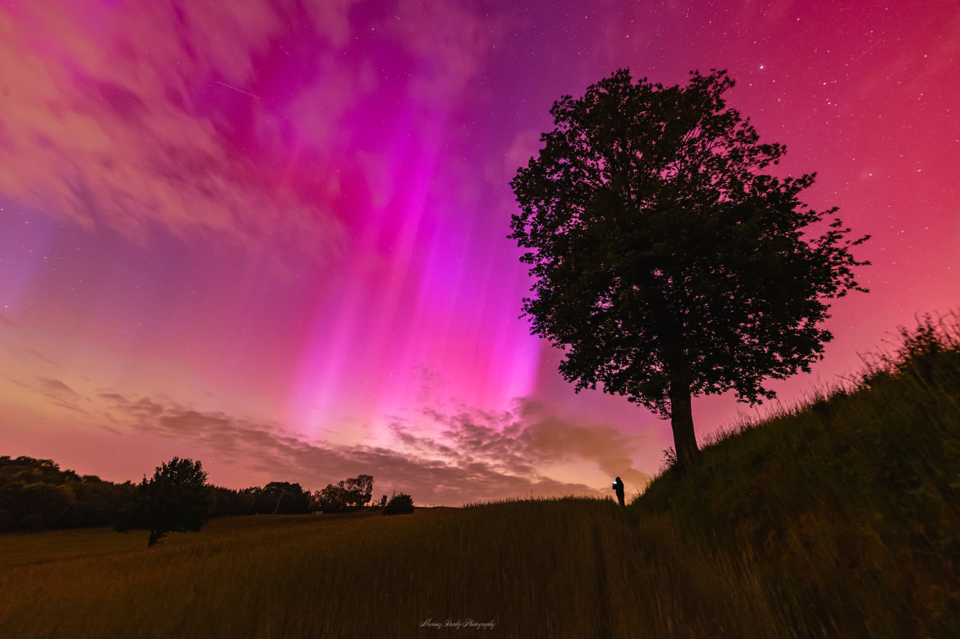 يظهر شفقٌ قُطبيٌّ أحمر وأرجوانيّ فوق حقلٍ في پولندا. تُرى شجرة إلى اليمين، ويقف شخصٌ في المدى حاملاً هاتفاً محمولاً متوهِّجاً.