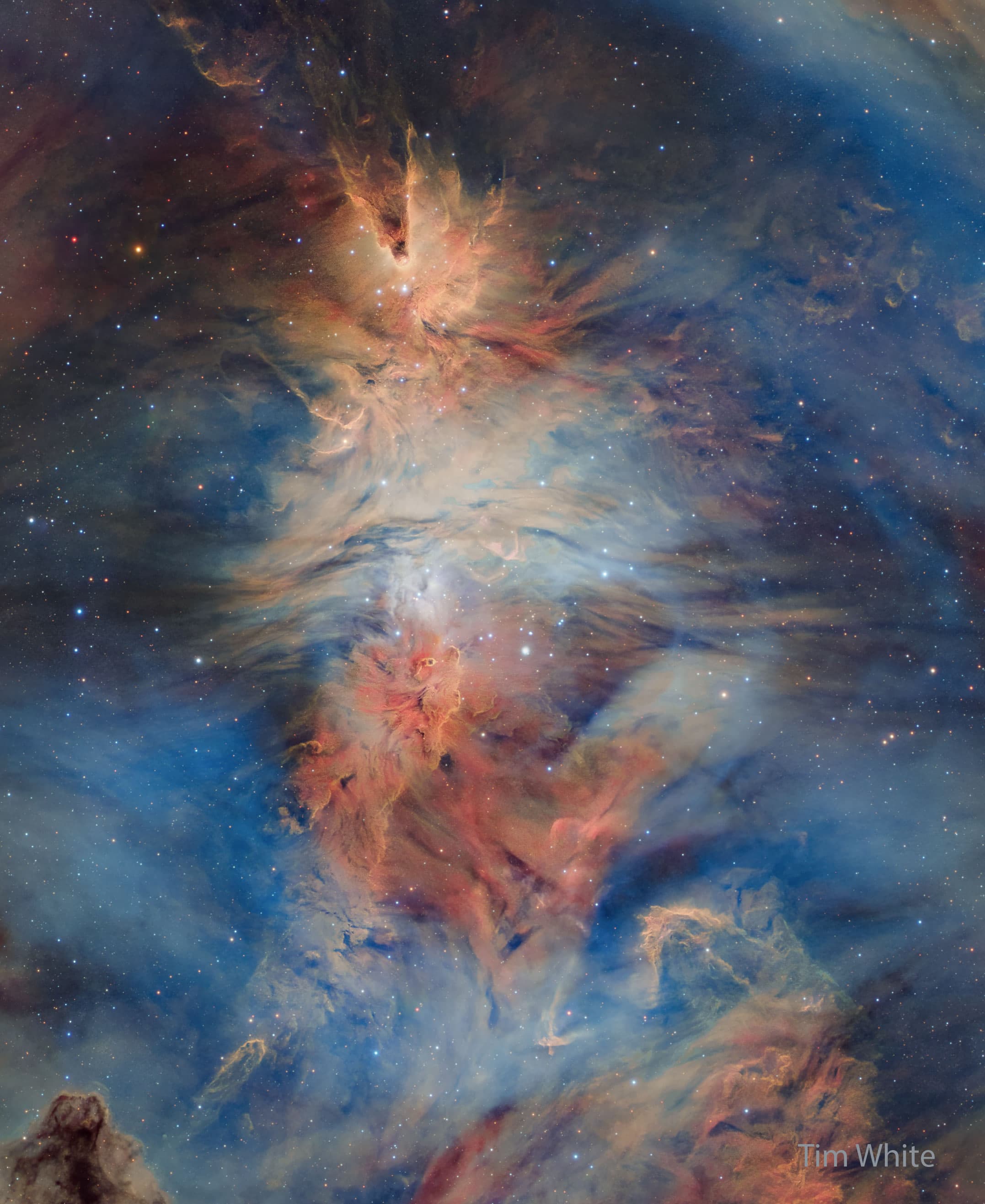 حقل نجوم مليء بالغاز المُلوَّن والغبار العاتم يظهر فيه سديم على شكل كوز قرب أعلى الصورة وبنية سديميّة تُذكِّر بفرو ثعلب قرب الوسط. تُشابه منطقة واسعة من انبعاثات الضوء شكل شجرة ميلاد.