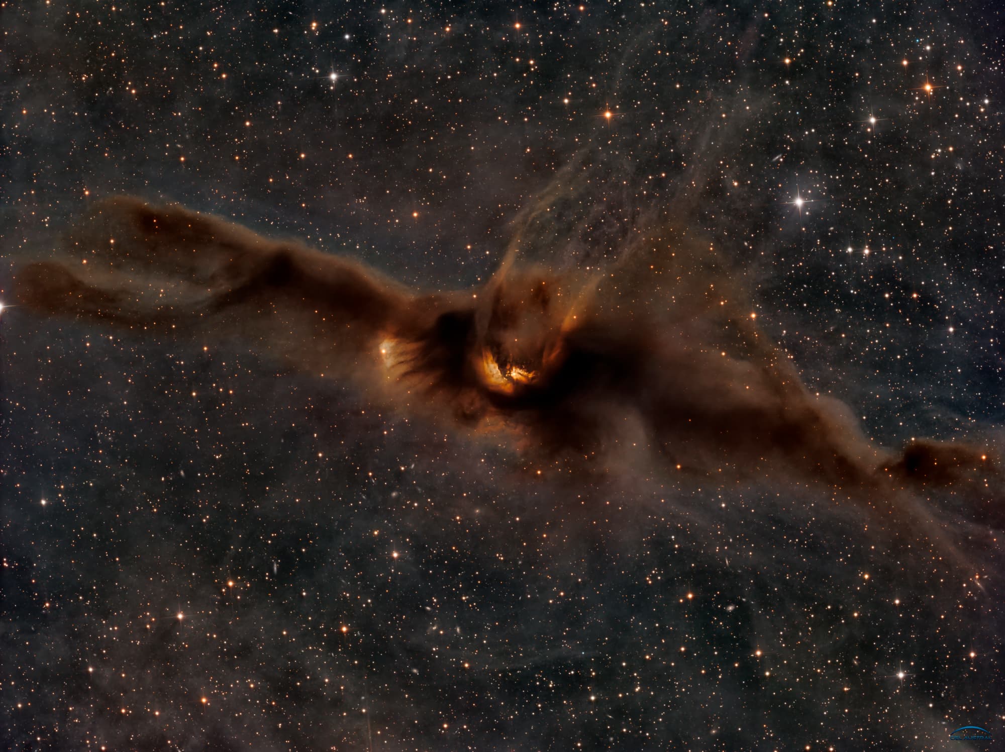 حقل نجوم في مركزه سديمُ غبارٍ بُنّيٌّ كبير. يبدو السديم -للبعض- على شكل خفّاش، حتّى أنَّ أحد النجوم في سديم الغبار يبدو وكأنّه عين الخفّاش.