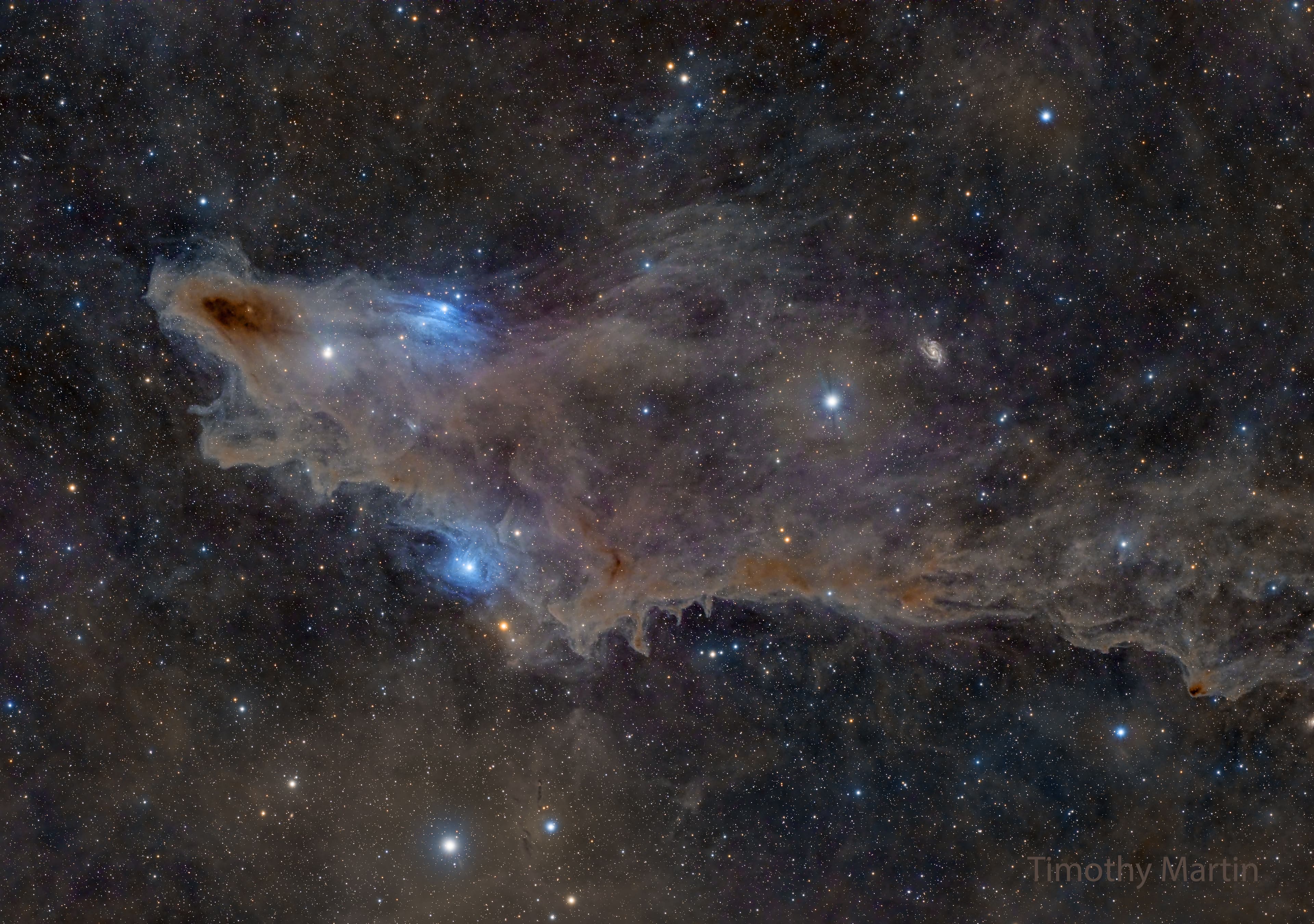 سحابة بنيّة داكنة تبدو شبيهة بقرش قبالة خلفيّة ملأى بالنجوم وسدم مظلّلة بالأزرق اقل بروزاً