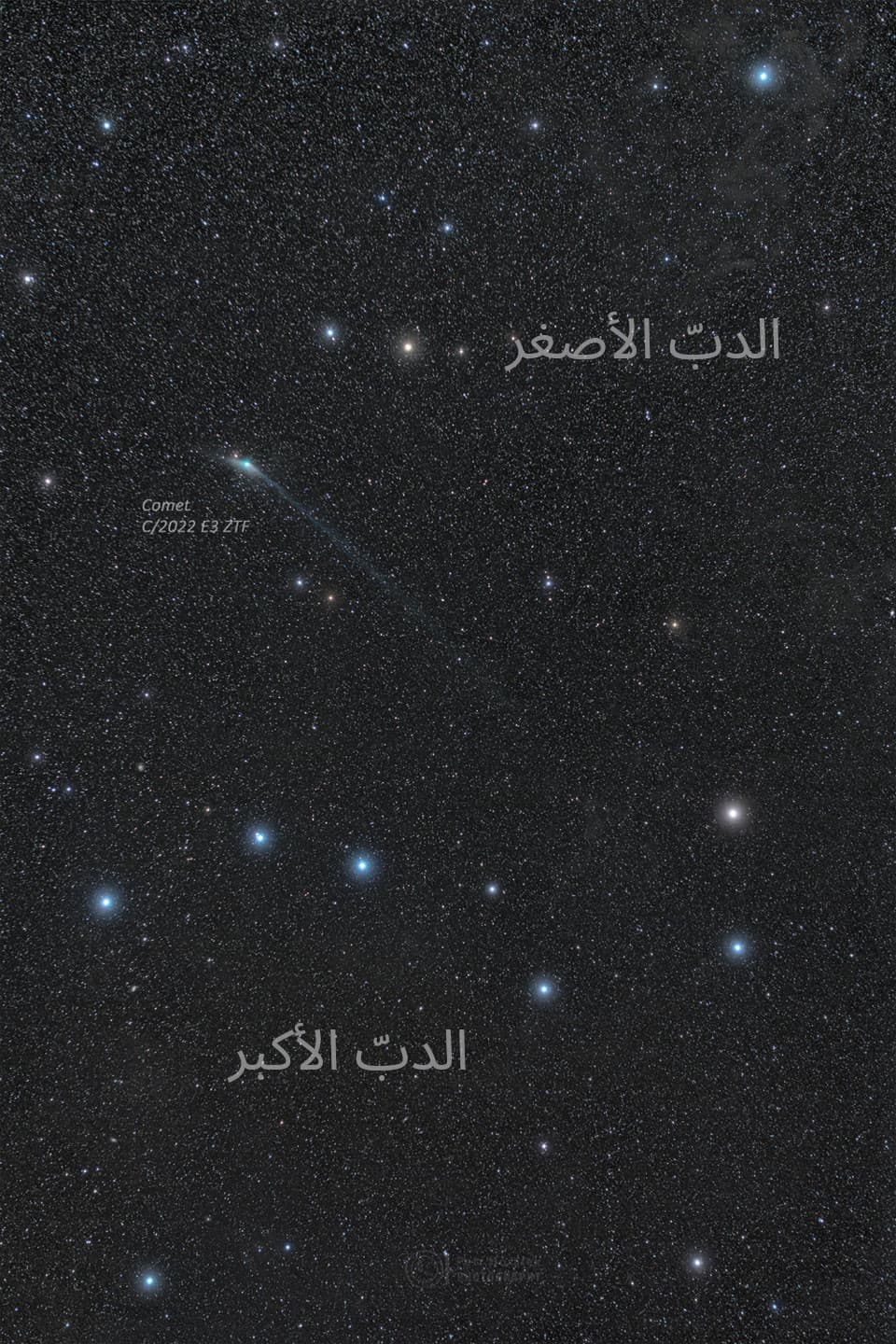 المُذنَّب ZTF مع ذيلٍ طويل بين مجمَّتي نجومٍ شهيرَتَين: الدبّ الأكبر والدبّ الأصغر. تبيّن الصورة الدبّ الأصغر قرب قمّتها، والدبّ الأكبر قرب أسفلها.