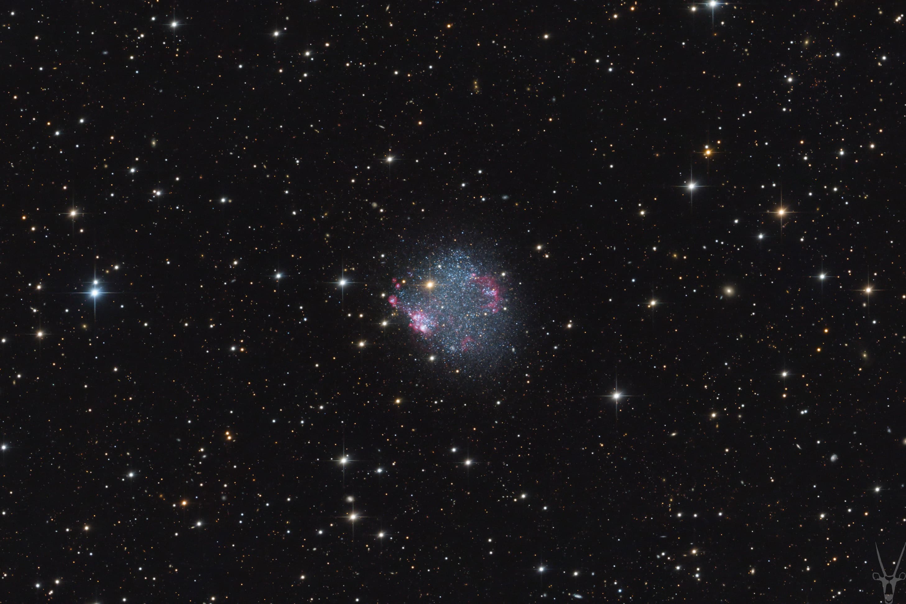 مجرّة غير منتظمة تظهر كبقعة زغباء بنقط بيضاء وزرقاء ومناطق ورديّة فيما تتناثر نجوم المقدّمة حولها