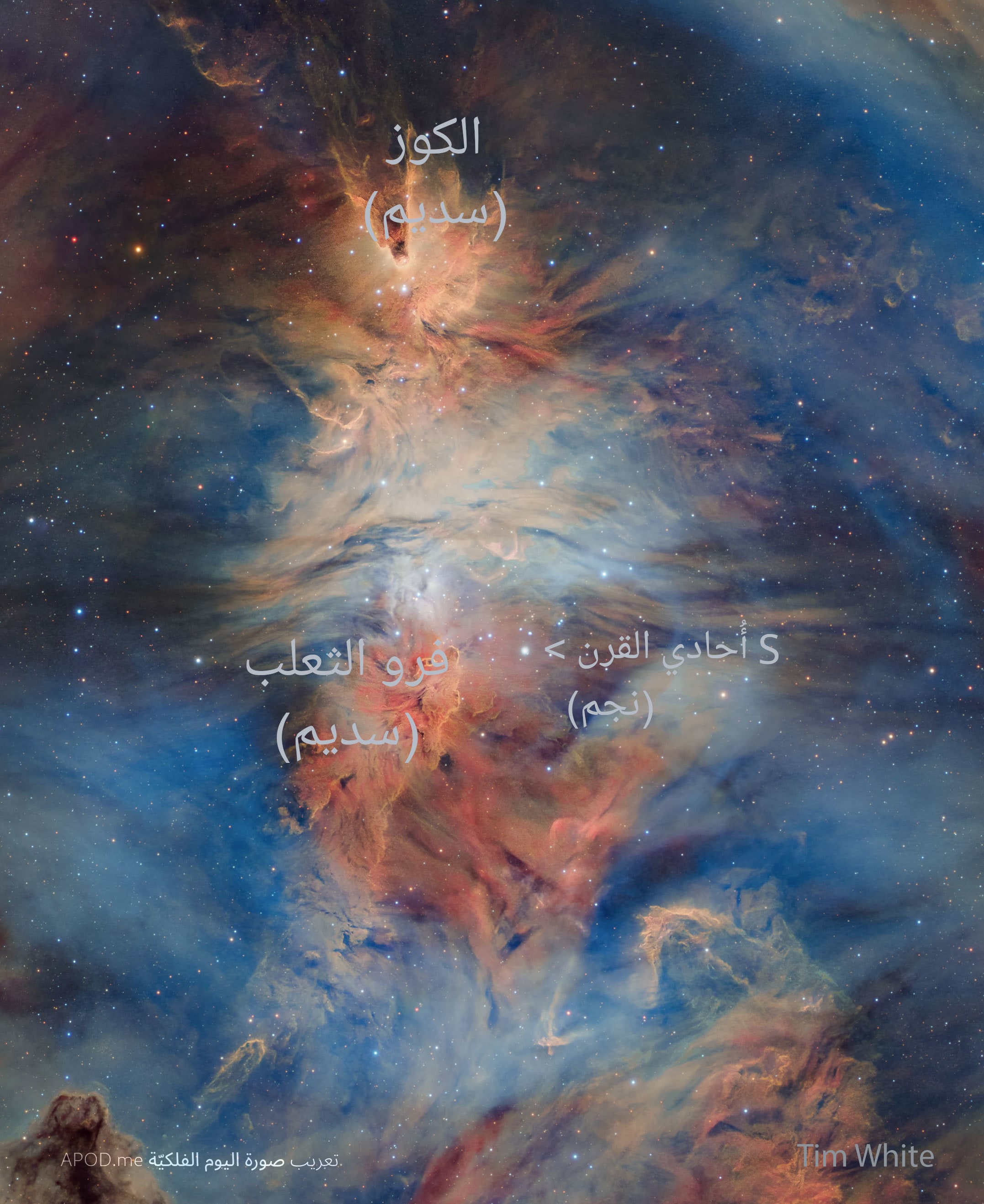 نسخة توضيحيّة عنون فيها سديما الكوز وفرو الثعلب بالإضافة إلى نجم إس أُحادي القرن