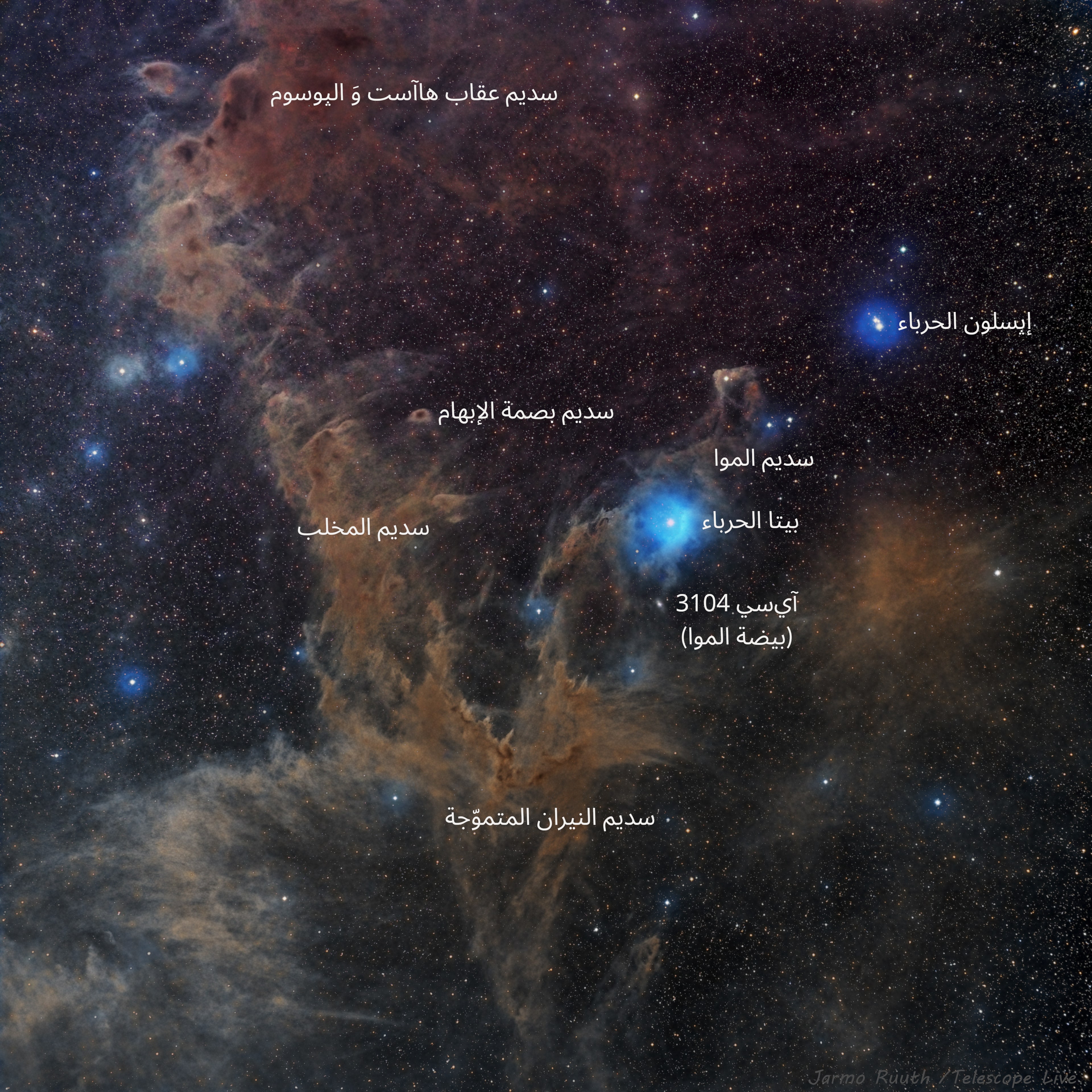 نسخة معنونة من الصورة وضّحت فيها أماكن سدم كل من عقاب هاآست وَ الپوسوم، وبصمة الإبهام، والموا، والمخلب، النيران المتموّجة إضافة إى نجمي بيتا و إپسلون الحرباء، إضافة إلى مجرّة آي‌سي 3104 (بيضة الموا)