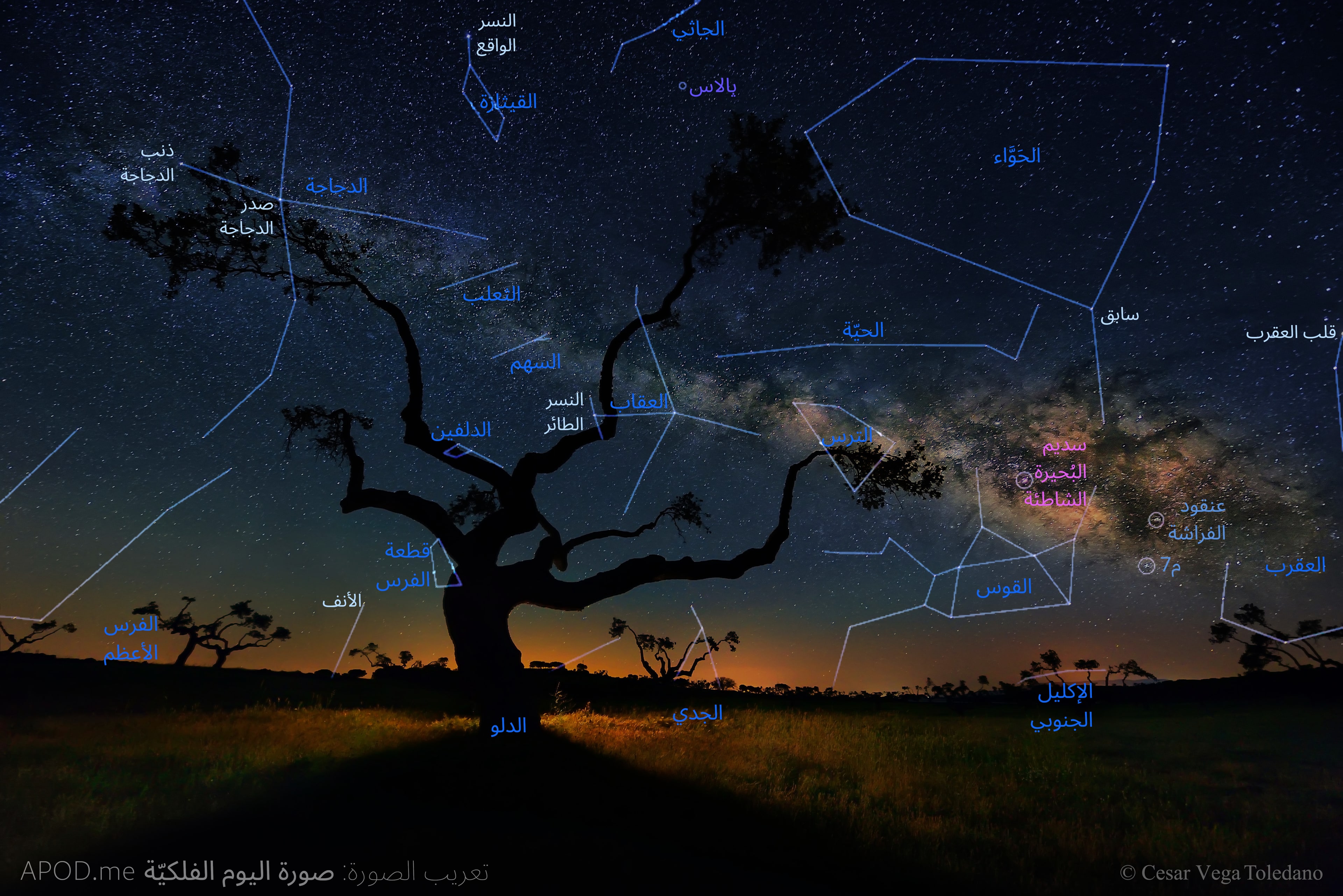 نسخة معنونة من صورة بستان البلّوط والمجرّة فوقه، تمّت عنونة عدد من الاجرام من كوكبات وغيرها هي الحوّاء وفيها سابق والجاثي والقيثارة وفيها النسر الواقع والدجاجة وفيها ذنب الدجاجة وصدر الدجاجة والثعلب والحيّة والسهم والترس والعقاب وفيه النسر الطائر والدلفين والعقرب وفيه قلب العقرب والقوس وقطعة الفرس والفرس الأعظم وفيها الأنف والإكليل الجنوبي والجدي والدلو. تمتدّ درب التبّانة عبر الصورة وعنون فيها كل من م7 وعنقود الفراشة وسديم البحيرة الشاطئة.