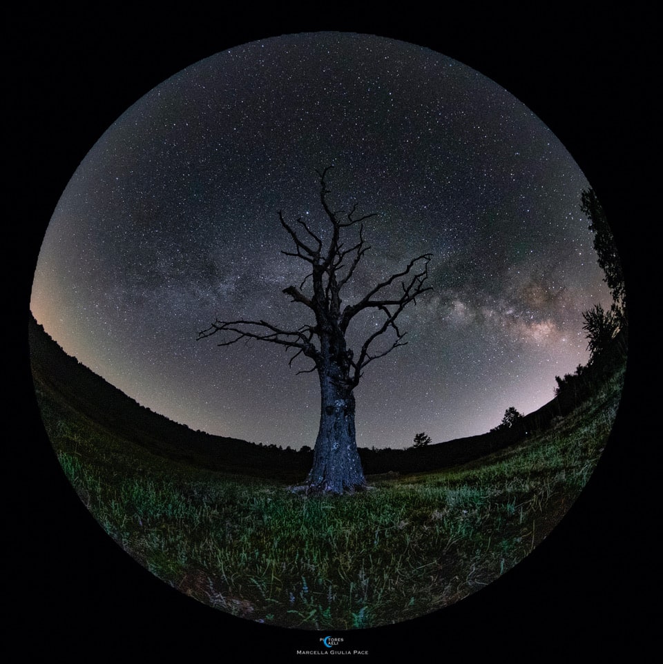 نسخة من الصورة بتعريضٍ لحظي تظهر فيها النجوم ثابتة