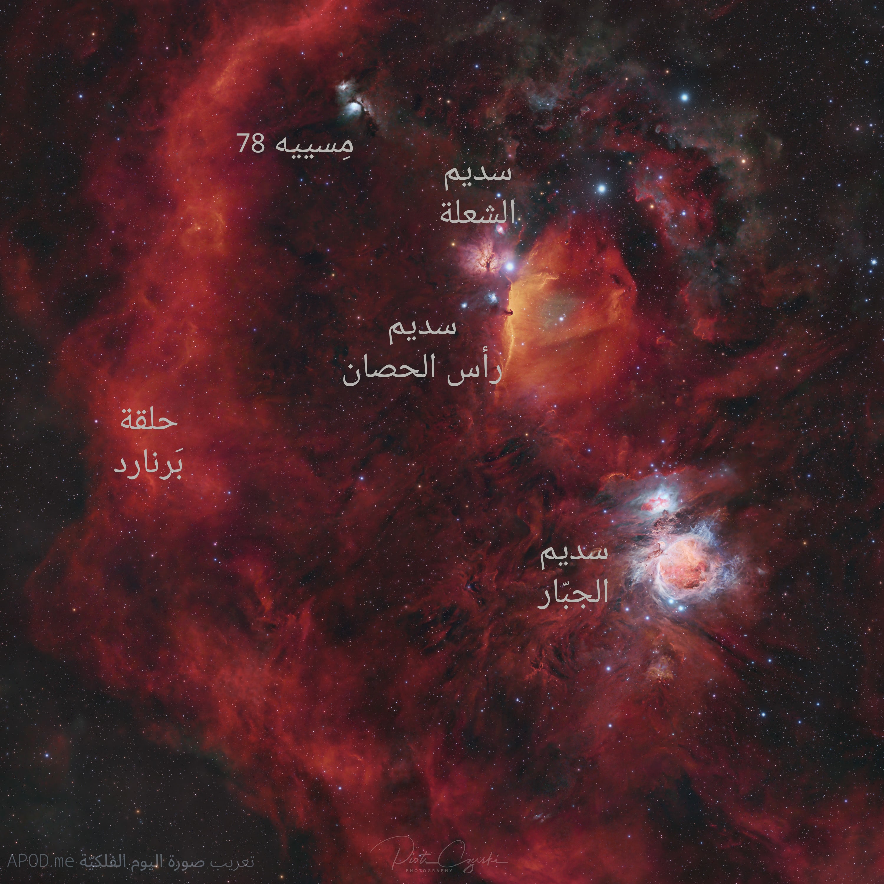 نسخة توضيحيّة عُنوِنَت فيها سُدُم مِسييه 78 والشعلة ورأس الحصان والجبّار بالإضافة إلى حلقة بَرنارد