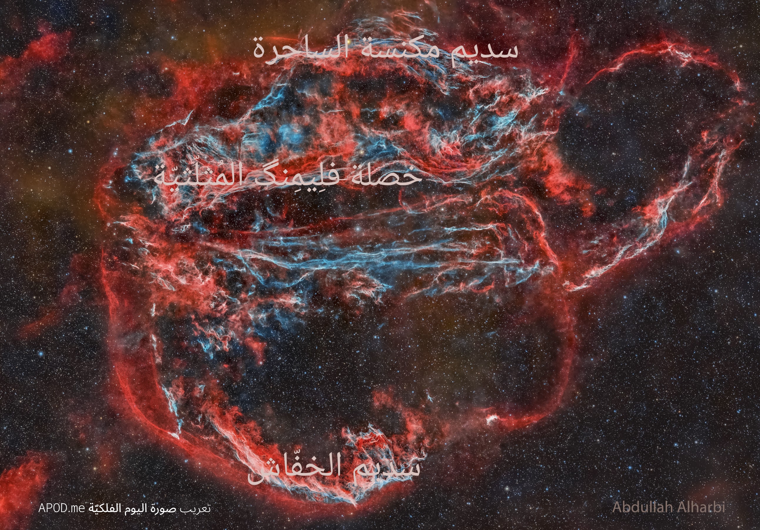 نسخة توضيحيّة عنون فيها سديما الخفّاش ومكنسة الساحرة وخصلة فلِيمِنگ المُثلّثيّة